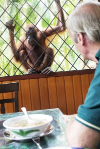 Das Gitter zaunt die Menschen ein und schuetzt sie vor hungrigen Affen. Die bekommen nur Bananen und daran haelt sich auch jeder